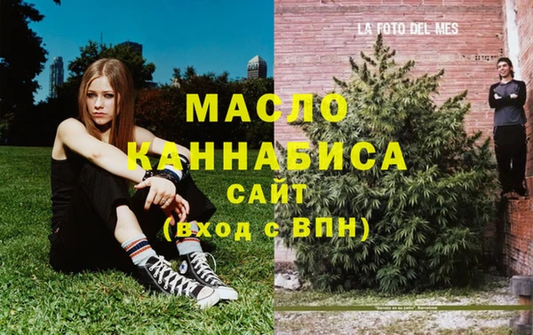 индика Белокуриха