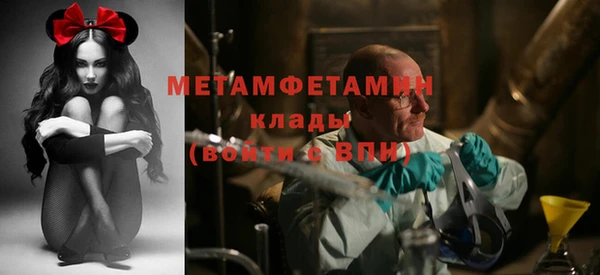 индика Белокуриха