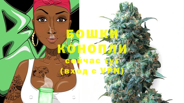 индика Белокуриха