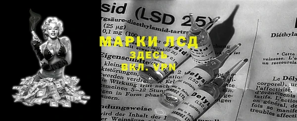 индика Белокуриха