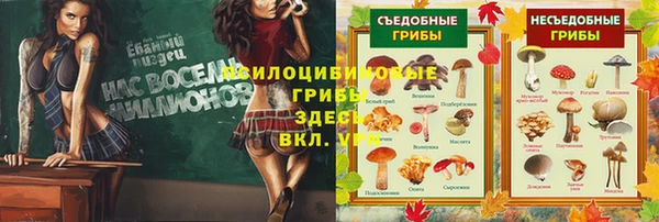 MDMA Белоозёрский
